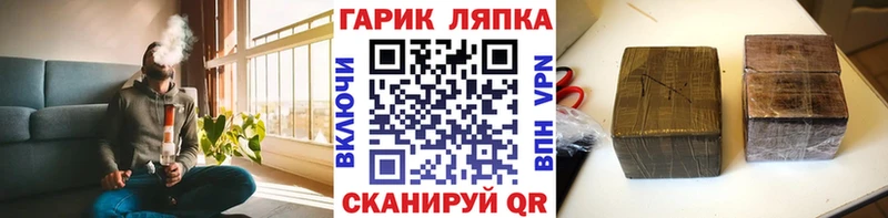 ГАШ Premium  Заводоуковск 