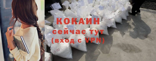 бошки Осинники