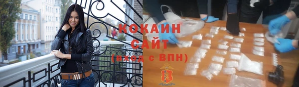 дмт Пестово