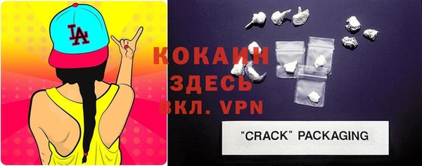 дмт Пестово