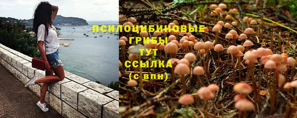 дмт Пестово