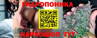 молекула духа Гагарин