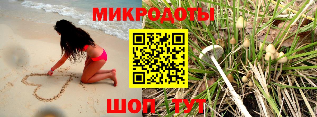 Заводоуковск  Псилоцибиновые грибы прущие грибы  Вход с VPN  Псилоцибиновые грибы Magic Shrooms 