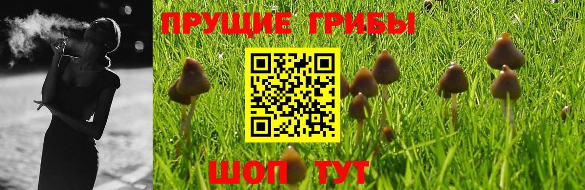 Псилоцибиновые грибы Magic Shrooms  Заводоуковск 