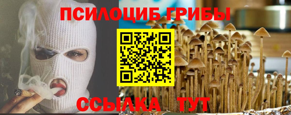 Псилоцибиновые грибы ЛСД Заводоуковск