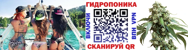 Бошки марихуана White Widow  KRAKEN маркетплейс  Заводоуковск  купить  