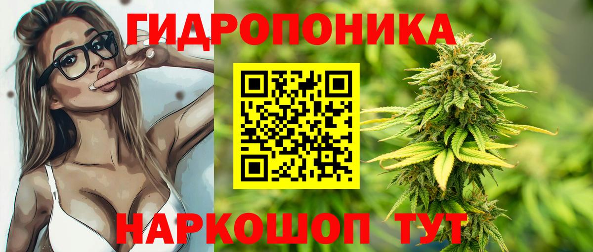 Шишки марихуана ГИДРОПОН Заводоуковск